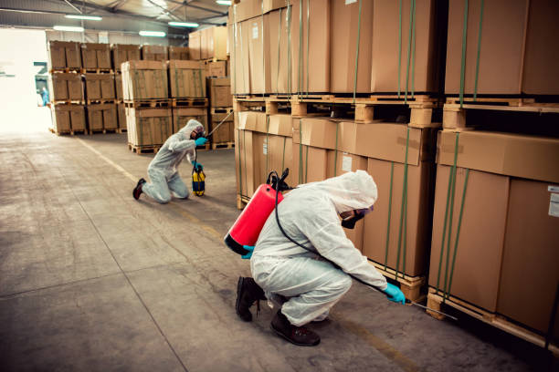Best Emergency Pest Control  in Port Carbon, PA