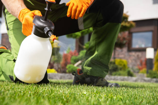 Best Residential Pest Control  in Port Carbon, PA