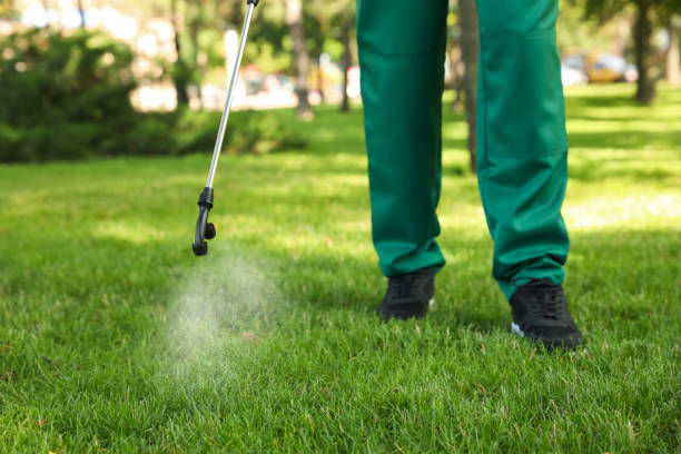 Best Flea Control Services  in Port Carbon, PA