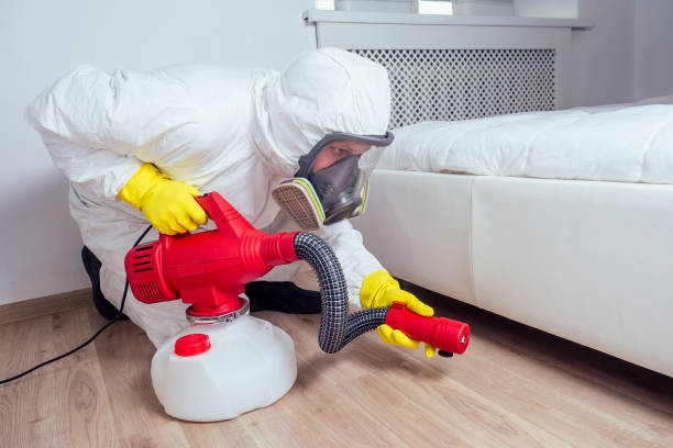 Best Affordable Pest Control Services  in Port Carbon, PA