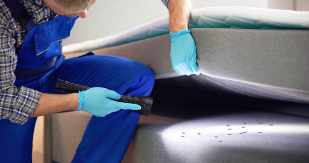 Flea Control Services in Port Carbon, PA